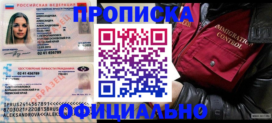 временная регистрация госуслуги в Опочке